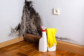 Trusted Oakland, MO Mold Remediation Experts